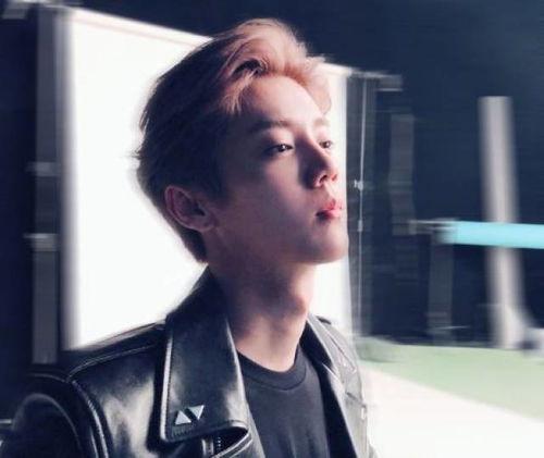 娱乐吃瓜鹿晗,娱乐界的瓜王，揭秘明星背后的故事